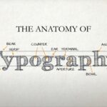 The inscription The anatomy of typography on white paper