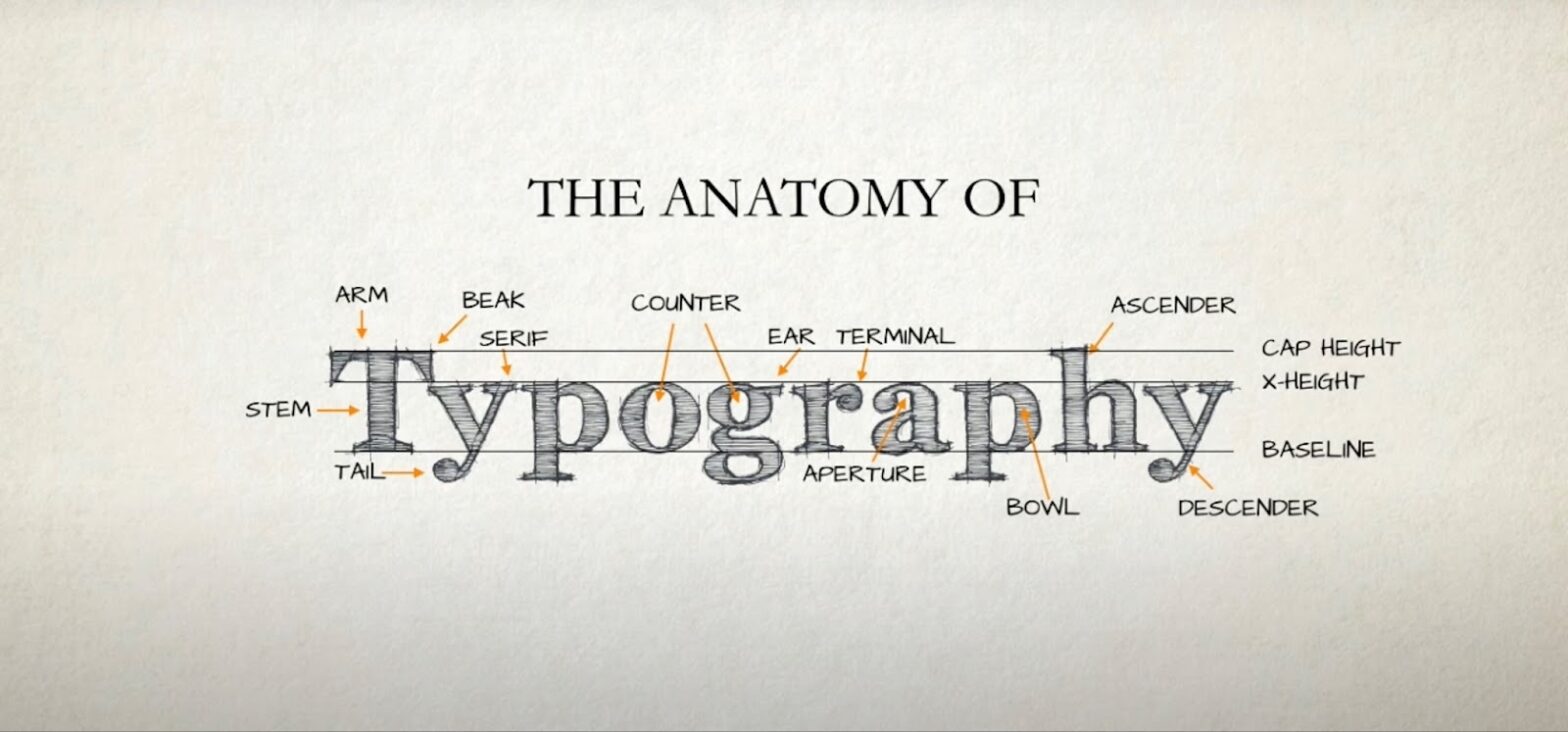 The inscription The anatomy of typography on white paper