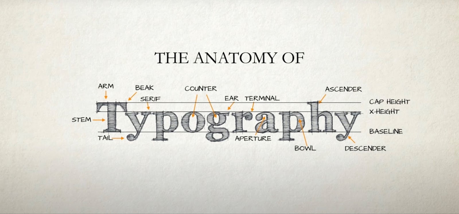 The inscription The anatomy of typography on white paper