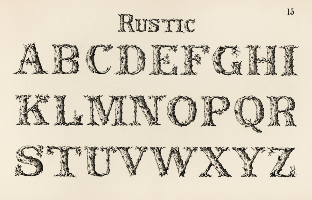 Alphabet in rustic twig-like font style displayed from A to Z